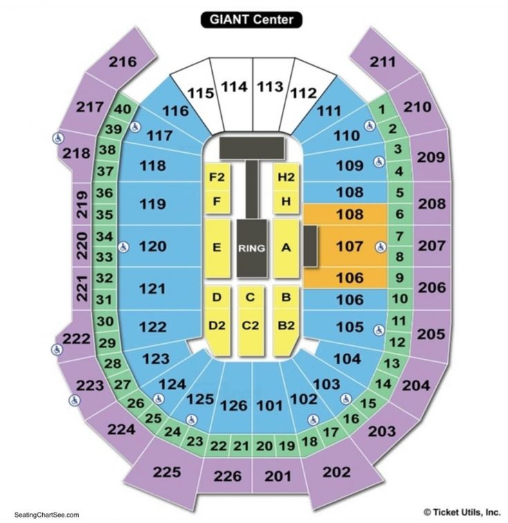 The Most Stylish Giant Center Concert Seating Chart